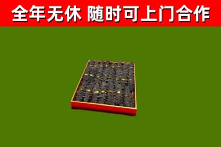宏伟回收海参